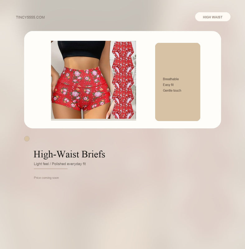 High-Waist Briefs - Style K6365